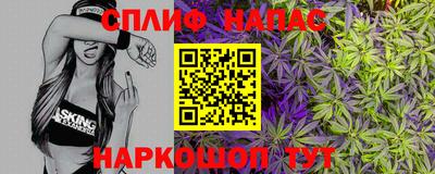 шишки Можайск